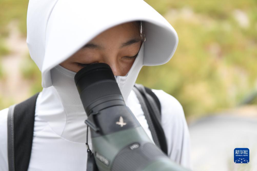 杏耀注册中心
